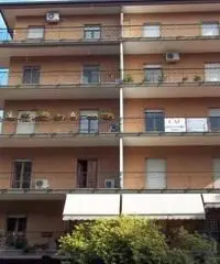 Commenda: Vendita Quadrilocali in Via Don Giovanni Minzoni - 2