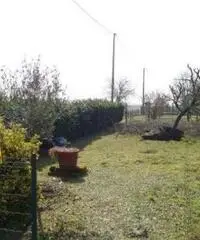 Vendita appartamento mq. 88 - Zona Alberone - 2