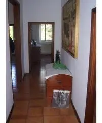 Vendita porzione di casa mq. 180 - Zona Santa Maria Codifiume - 8