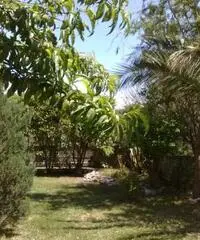 Apprtamento con giardino - 2