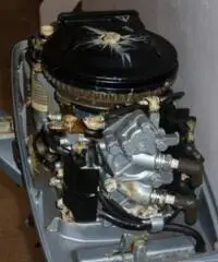 vendo motore marino evinrude 8 cv - 4