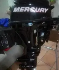 Motore mercury 9.9 4t 2011 - 3