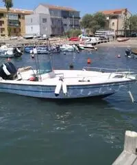 FISHERMAN SAVER 540 CON 70CV 4 TEMPI INIEZIONE - 2