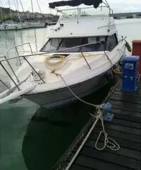 Barca bayliner affare