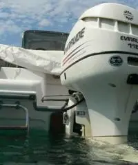 RANIERI SOVERATO 115  CV EVINRUDE - 4