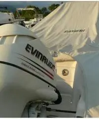 RANIERI SOVERATO 115  CV EVINRUDE - 7