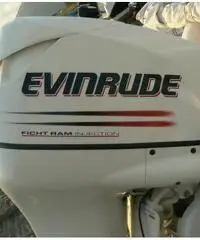 RANIERI SOVERATO 115  CV EVINRUDE - 9