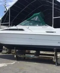 Sea Ray 25 Sundacer prezzo ribassato