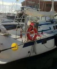 Barca a vela pronta alla boa. Pesca solo 90cm - 7