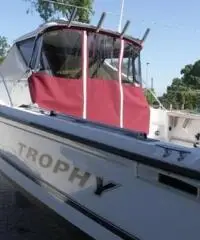 barca a motore BAYLINER Trophy anno 1995 lunghezza mt 7,5 - 3