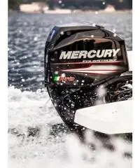 MOTORE MERCURY F 40 EFI PRO 4 TEMPI - 3