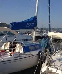 Barca a vela Comet 850 con vele nuove - 8