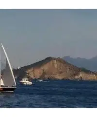 Barca a vela da regata modello Fun ottimo stato - 2