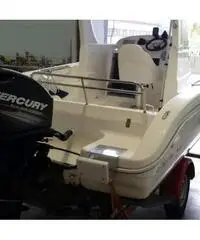 Cabin fish 580 + mercury 40/60 PRO + carrello 13q