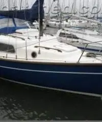 Barca a vela Leisure 23