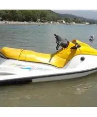 Moto d'acqua HS-MOTOR BOAT LTD Mod. HSTY700 - 7