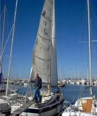 Barca a vela HALLBERG RASSY 312