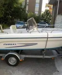 Ranieri marvel soverato 5,45 evinrude e-tec 115 - 4