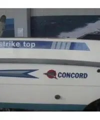 Concord Strike top - 2