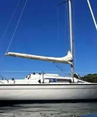 barca a vela DEHLER 28 anno 1988 lunghezza mt 8,5