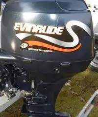 Barca riocross motore evinrude 40cv 4t carrello - 3