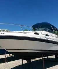 Fantastico Sea Ray 250