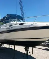 Fantastico Sea Ray 250 - 2