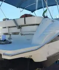 Fantastico Sea Ray 250 - 3