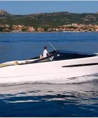 BARRACUDA 42