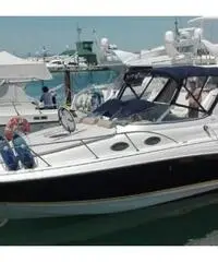 LARSON BOATS Cabrio 260