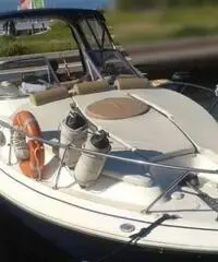 LARSON BOATS Cabrio 260 - 8