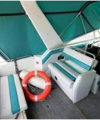 REGAL MARINE 290 COMMODORE - 5