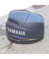 Calandra usata Yamaha F100