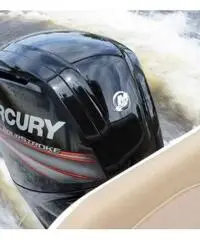 Nuovo F115 Mercury - 2