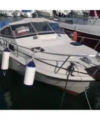 Boston Whaler Revenge 25