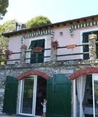 Vendita villa mq. 140 - Zona Ruta Di Camogli - 3