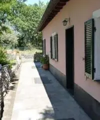 Vendita villa mq. 140 - Zona Ruta Di Camogli - 4