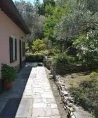 Vendita villa mq. 140 - Zona Ruta Di Camogli - 5