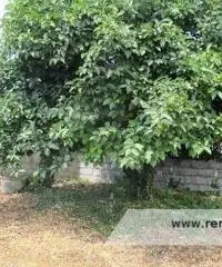Avezzano -  Villa 8 locali € 85.000 T715 - 10
