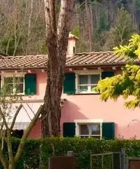 Villa delle Mimose