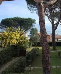 Villa delle Mimose - 8