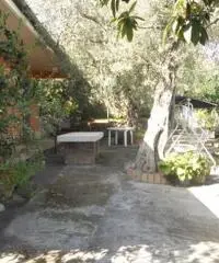 TAORMINA: Casa Singola Panoramica con Giardino - 5