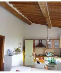 Appartamento in vendita a SAN FREDIANO A SETTIMO - Cascina 70 mq
rif: 375611 - 7