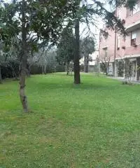 Appartamento in vendita a Cascina 95 mq
rif: 358380 - 2