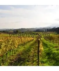 Azienda agricola in vendita a Montepulciano 70000 mq