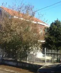 Villa Bifamiliare con terrazzo in via privata zona residenziale - 3