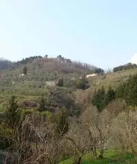 Borgo a Mozzano Vendita Casa indipendente