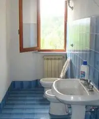 Vendita Villa a Barga - 5