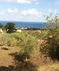 Messina: Terreno Agricolo