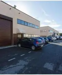 Affitto Magazzino in Via degli Olmetti - 2